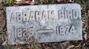 Abraham Bird