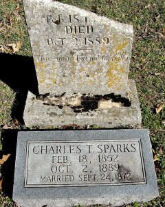 Charles Tanner Sparks