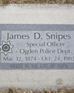 James David Snipes