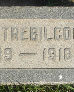 Lester Earl Trebilcock