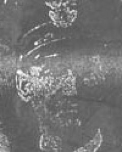 Robert L. Burden