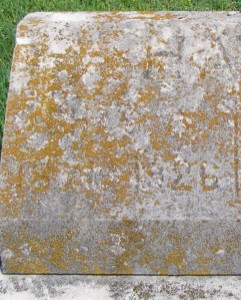 Charles A. Hays
