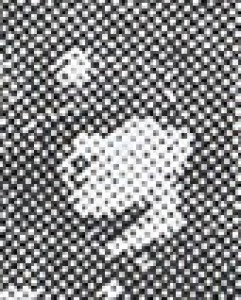 Thomas E. Dameron