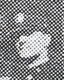 Thomas Dameron