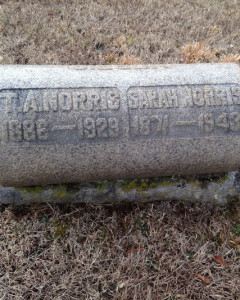 Thaddeus Alonzo Norris