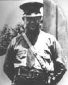 David Levi McCain