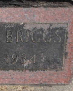Herbert L. Briggs