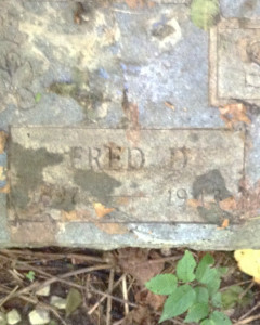 Fred Douglas Slaten