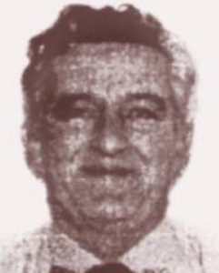 Nelson J. Belliveau