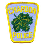 Agency patch