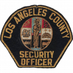 Los Angeles County Department of Health Services