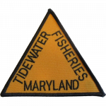 Agency patch