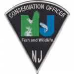 Agency patch