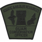 Agency patch