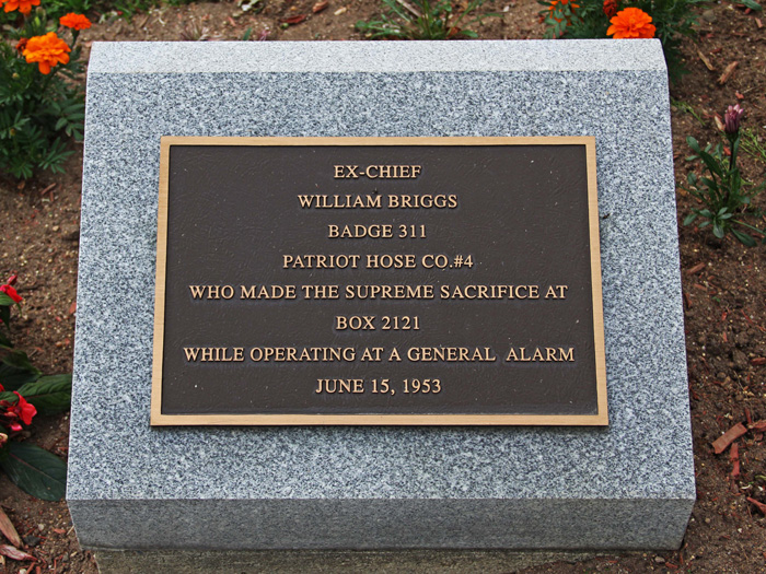 William Briggs