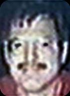Robert Gerlich