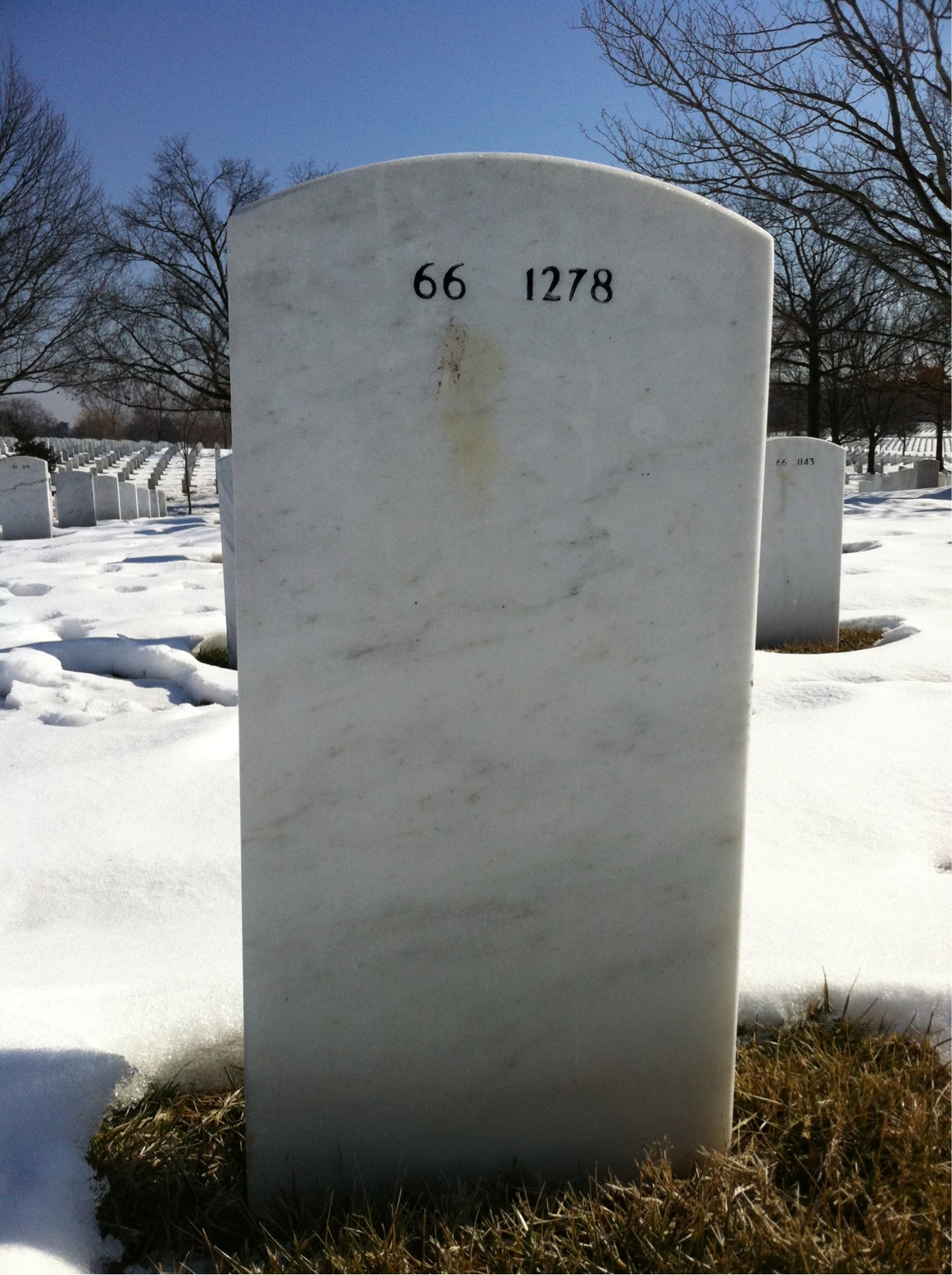 Back of headstone — Tracy Sechrest