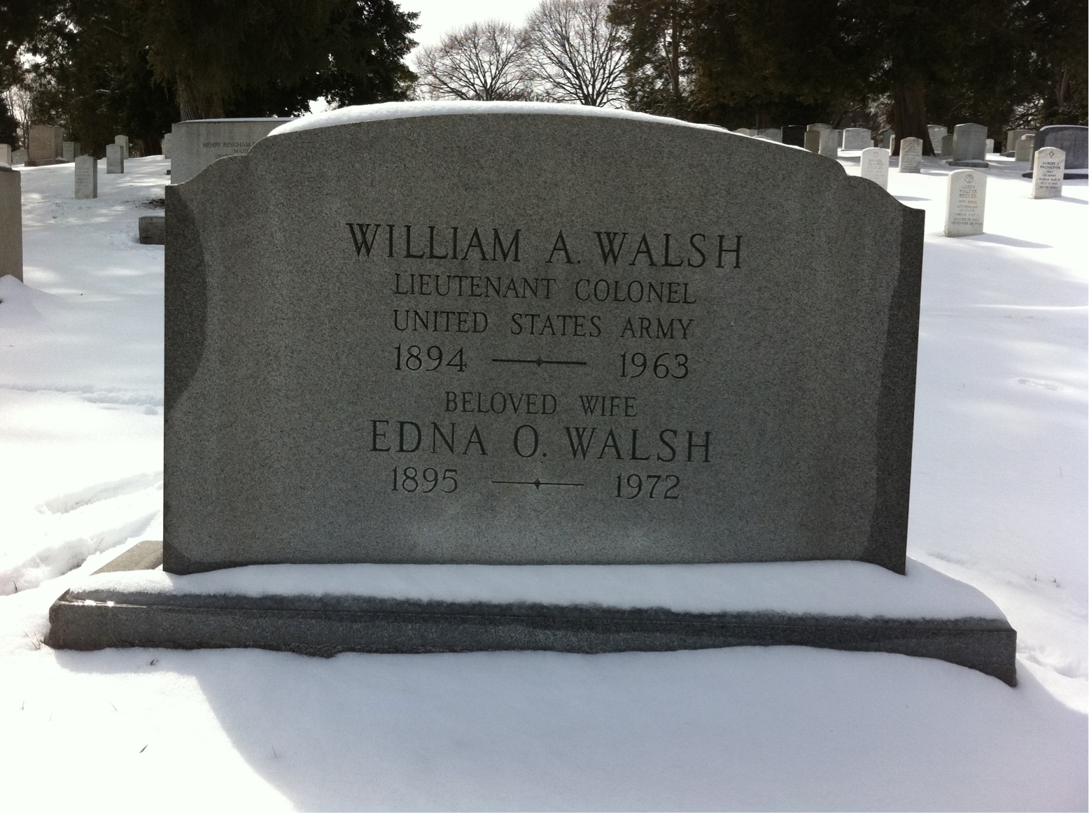 William J Walsh