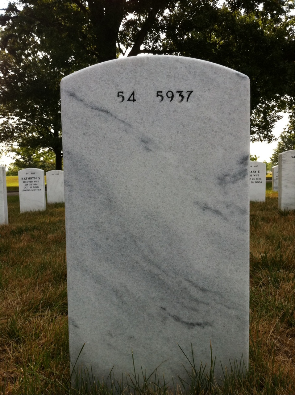 Back of headstone — David Johnson