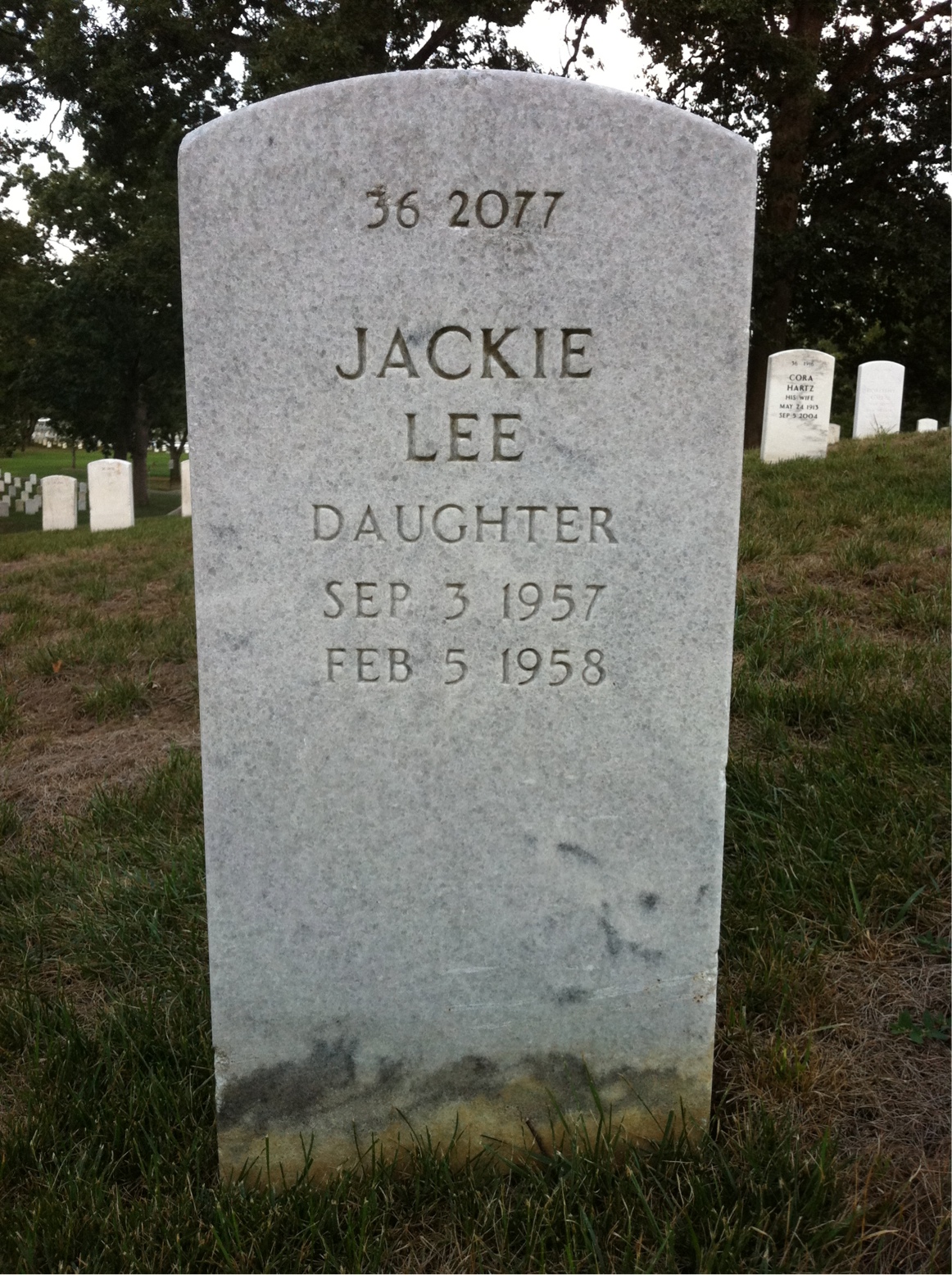 Back of headstone — Houston H Thomas