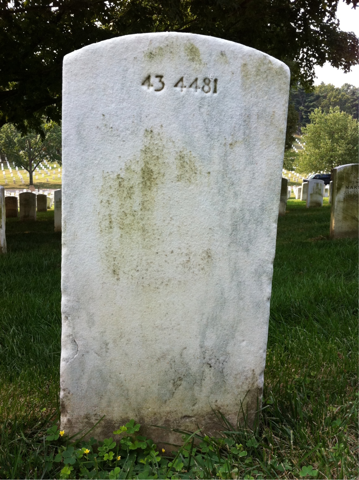 Back of headstone — Willie M Brown