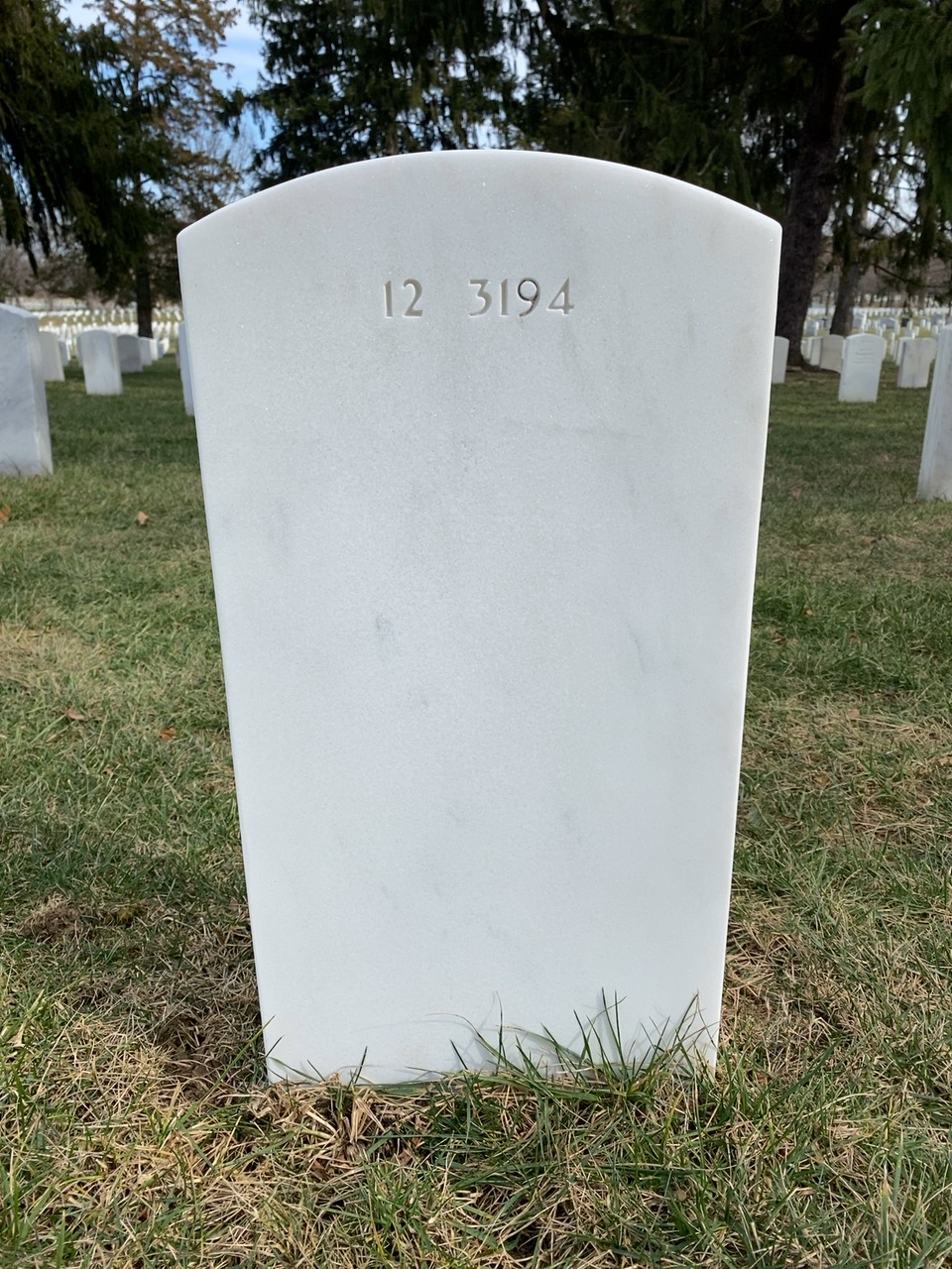 Back of headstone — Leo Arthur