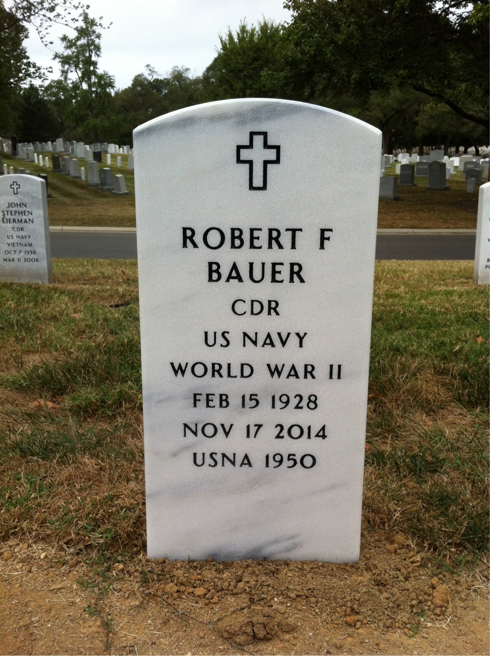 Robert Bauer