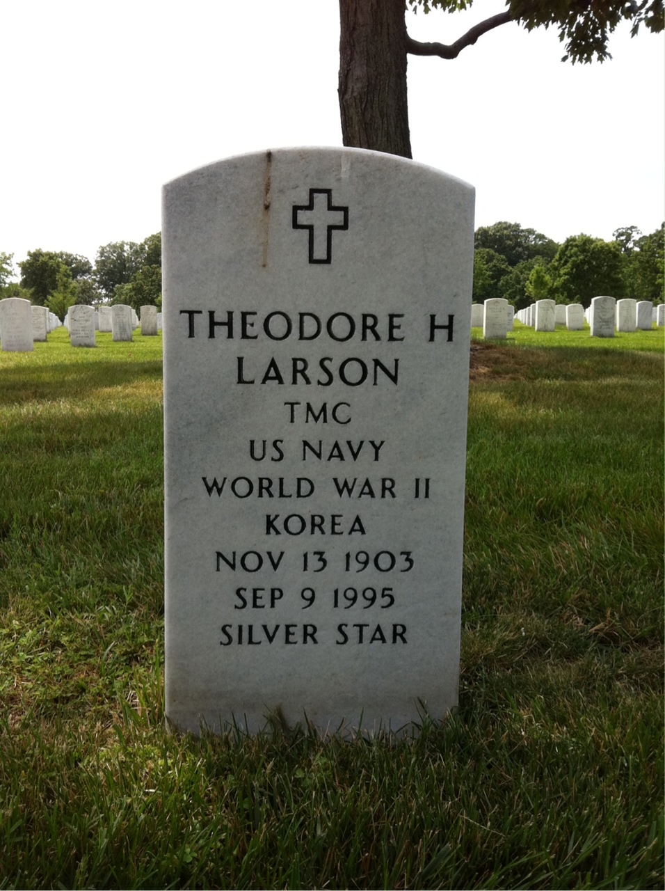 Theodore Larson