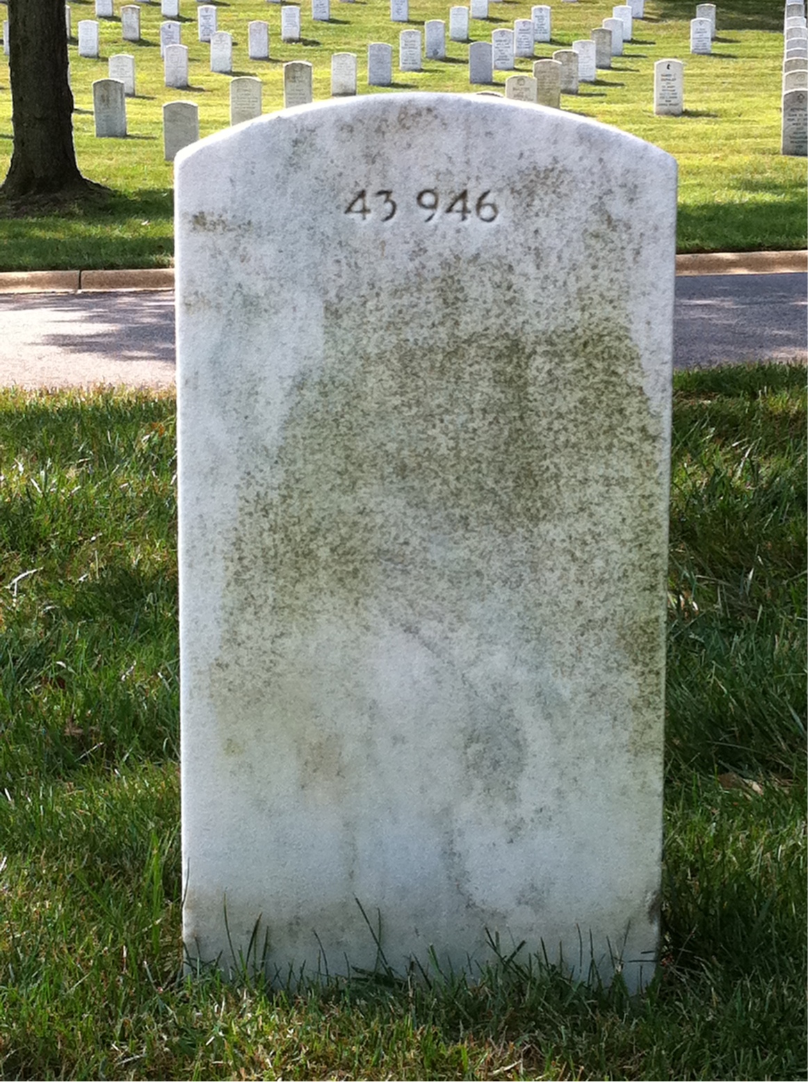 Back of headstone — Charles Morgan