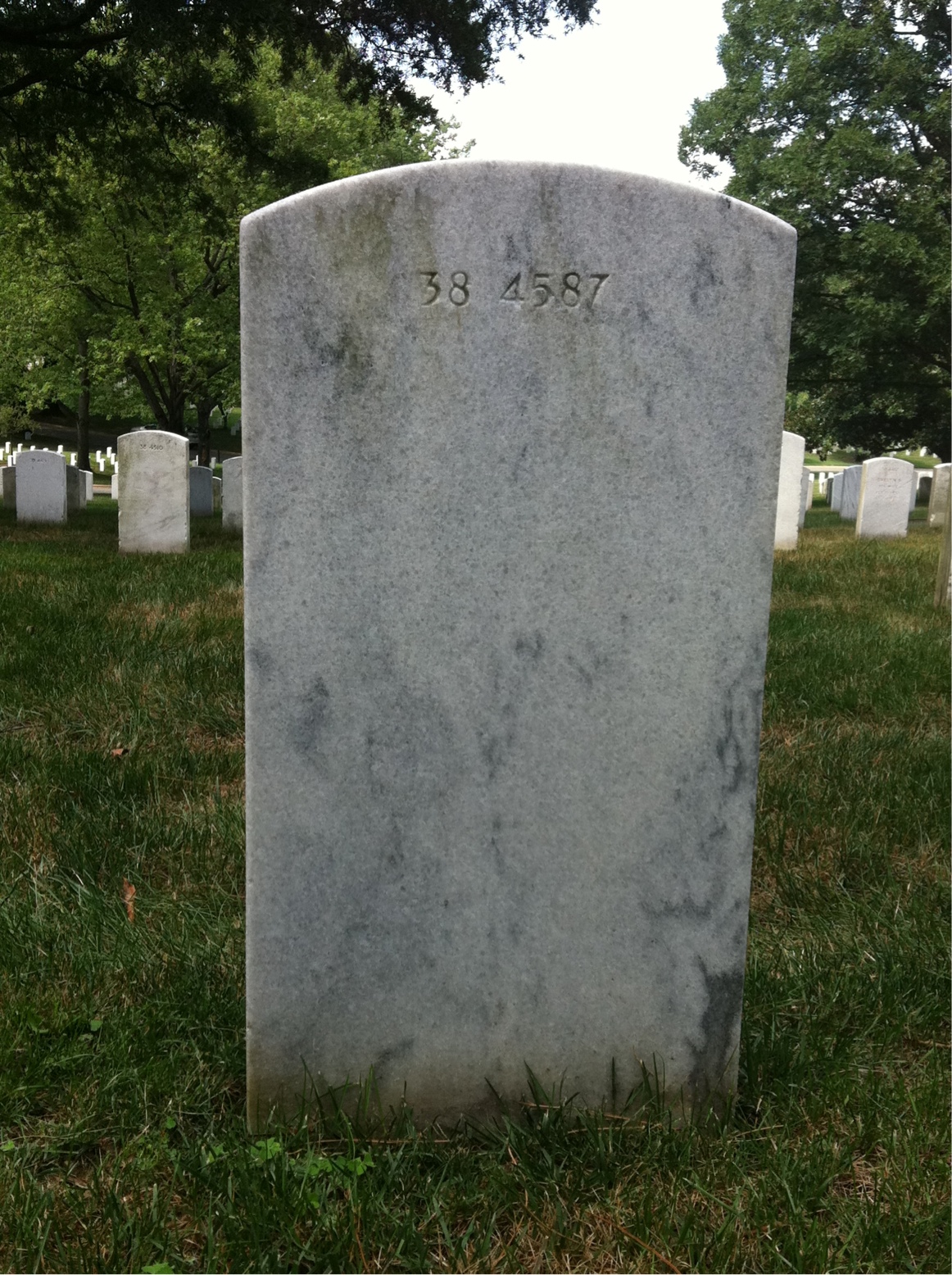 Back of headstone — Junior Lee Williams