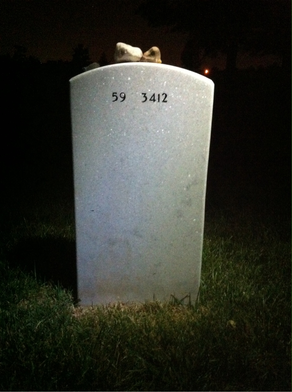 Back of headstone — Eugene Cocke