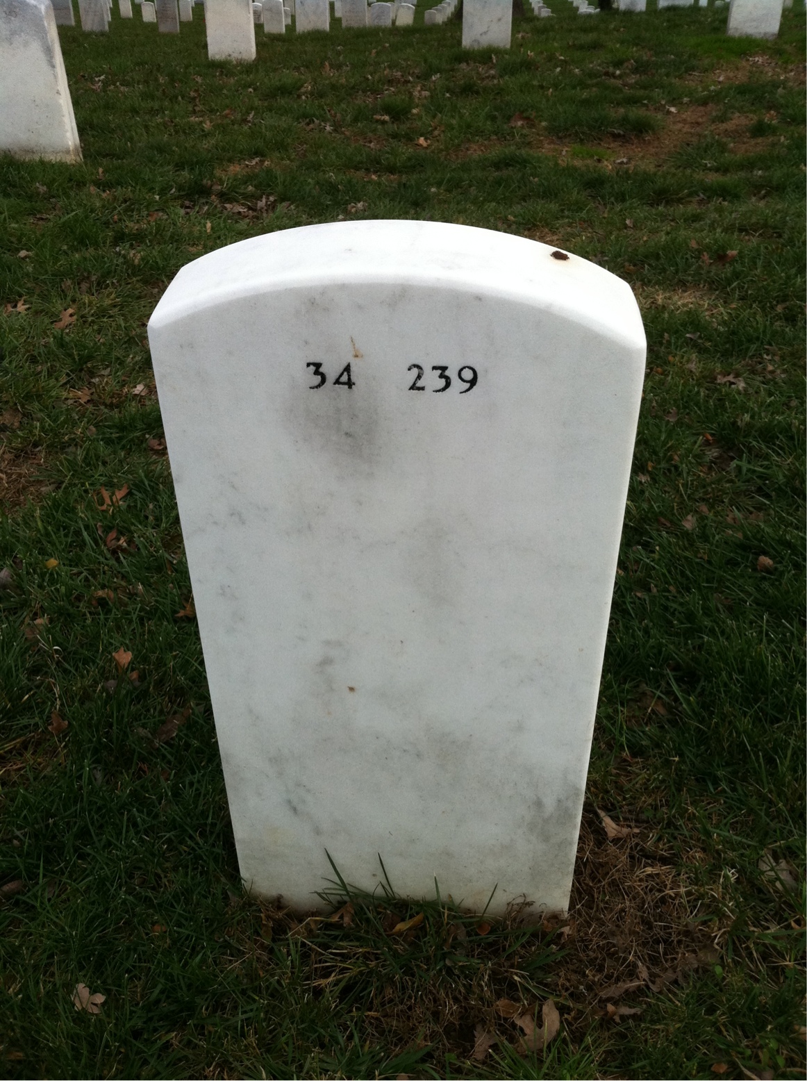 Back of headstone — Dennis Stone