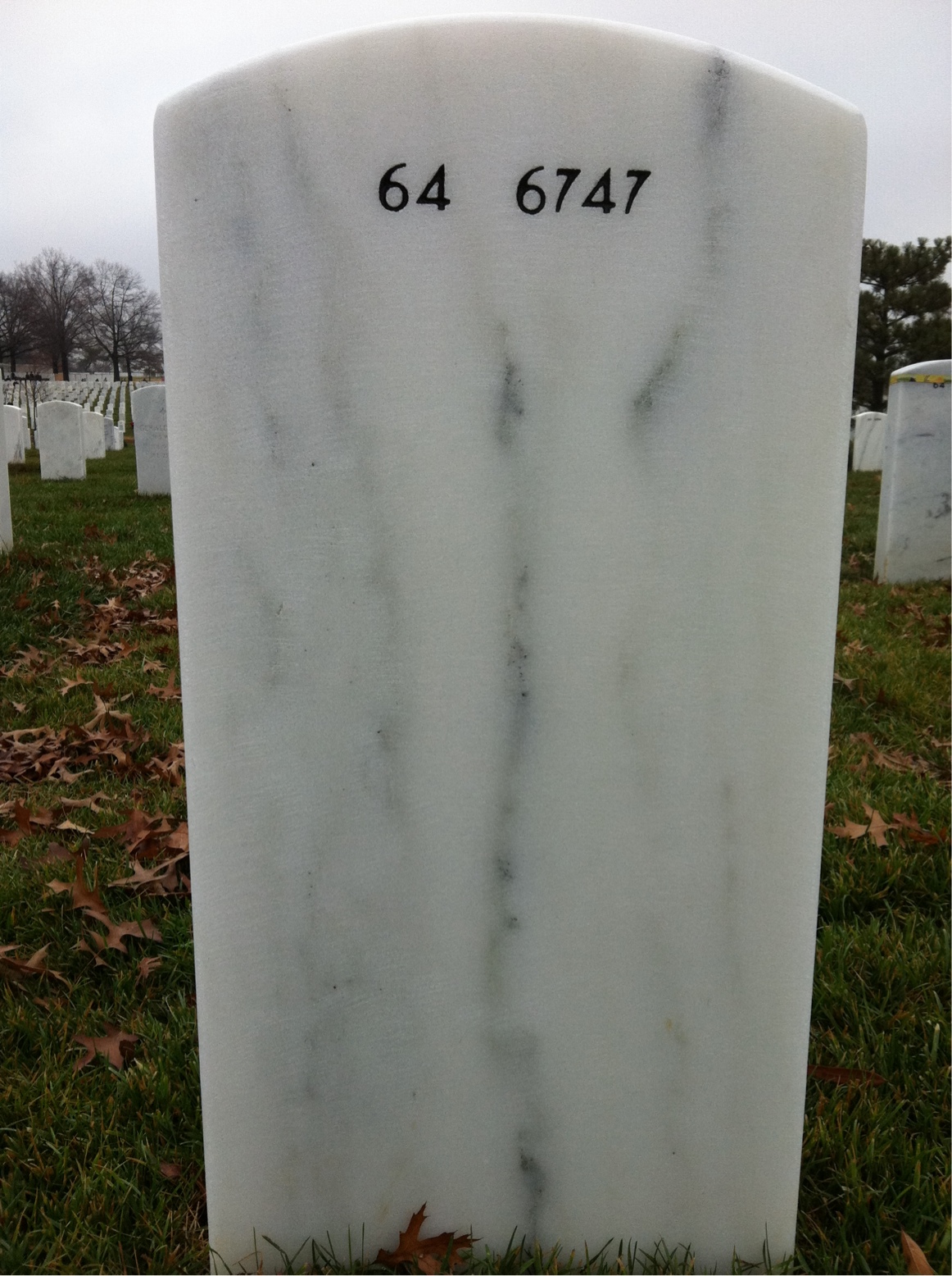 Back of headstone — Thomas Eugene Bleckley