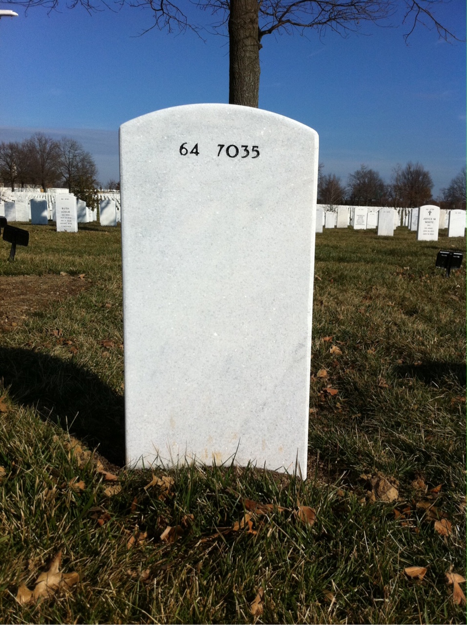 Back of headstone — Richard Alexander