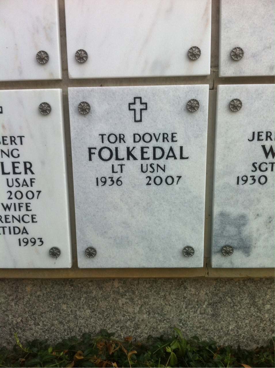 Tor Folkedal