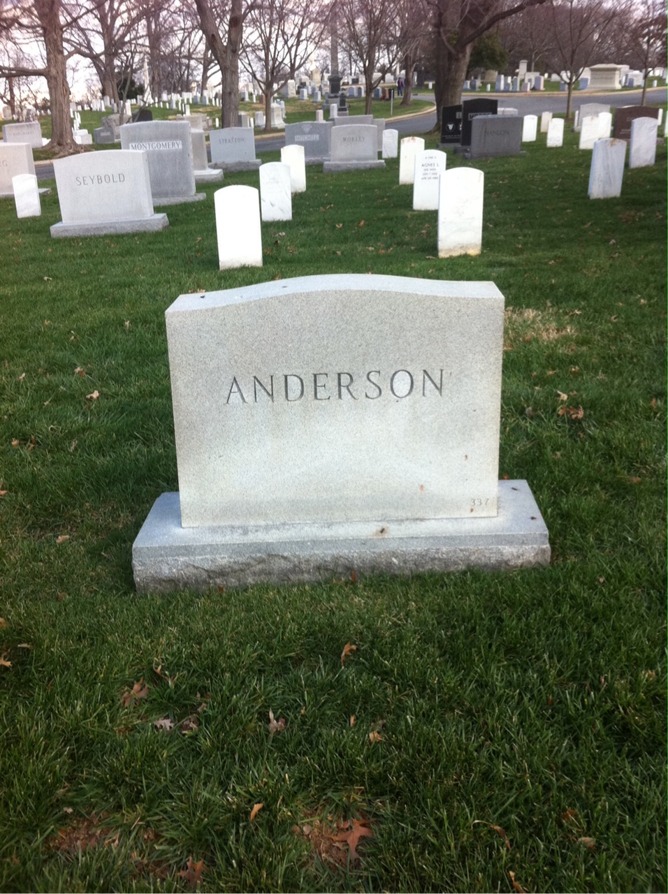 Back of headstone — Olivia Anderson