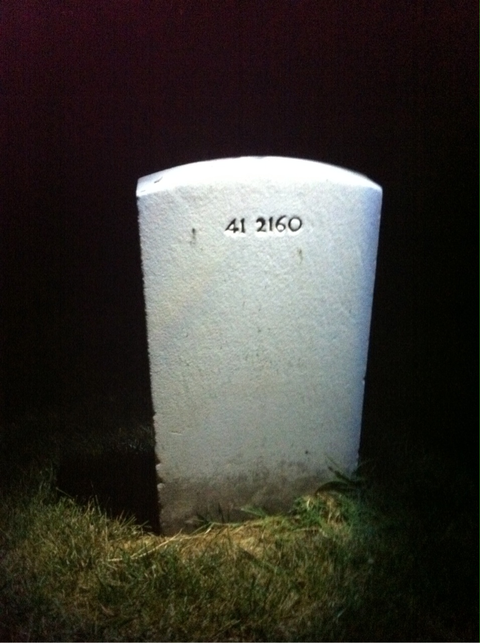 Back of headstone — Wilson A Pleger