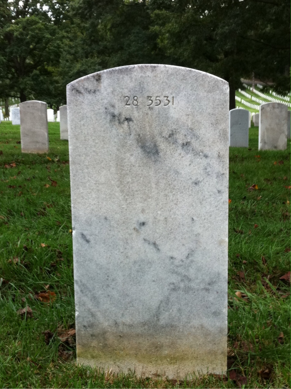 Back of headstone — Vance Stedman