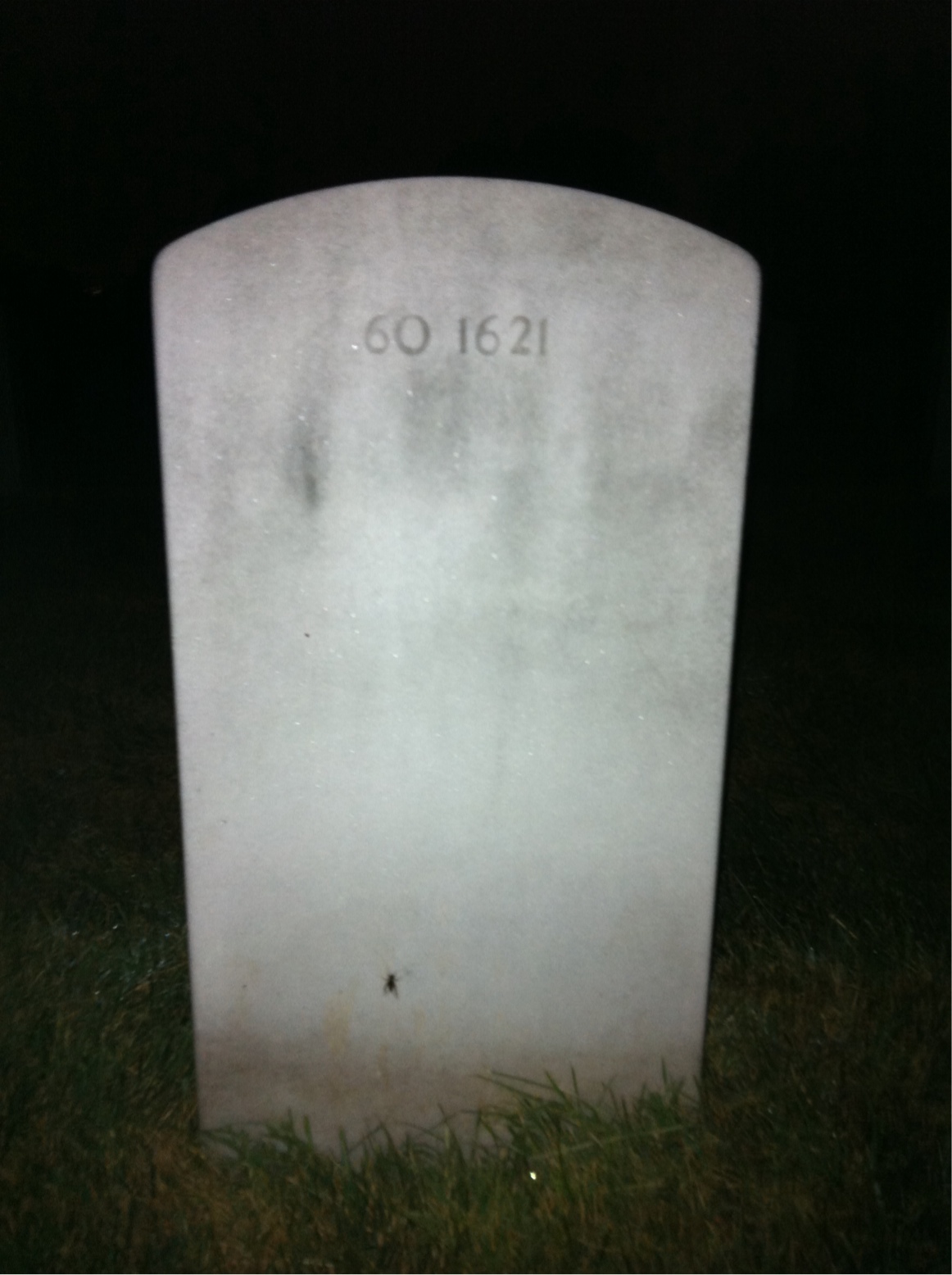 Back of headstone — David Adams