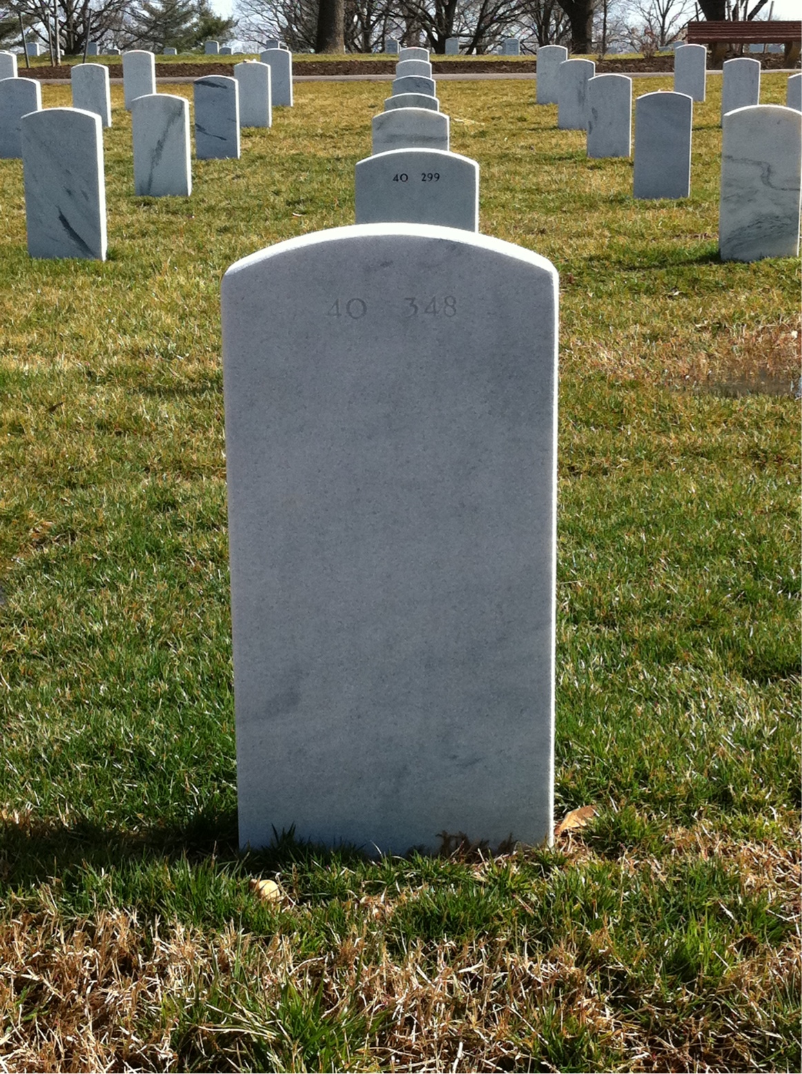 Back of headstone — Mary Baldino