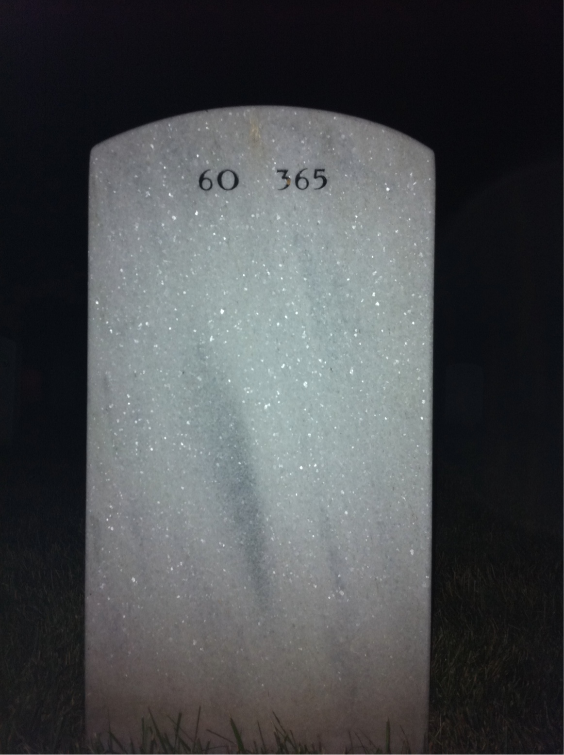 Back of headstone — Edmund Coale