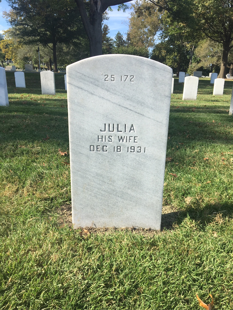 Back of headstone — James Arnesty
