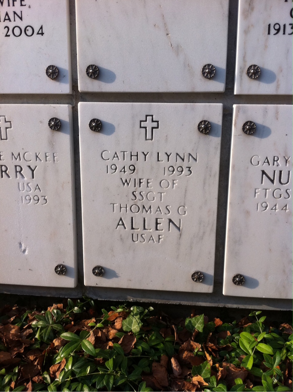 Cathy Allen