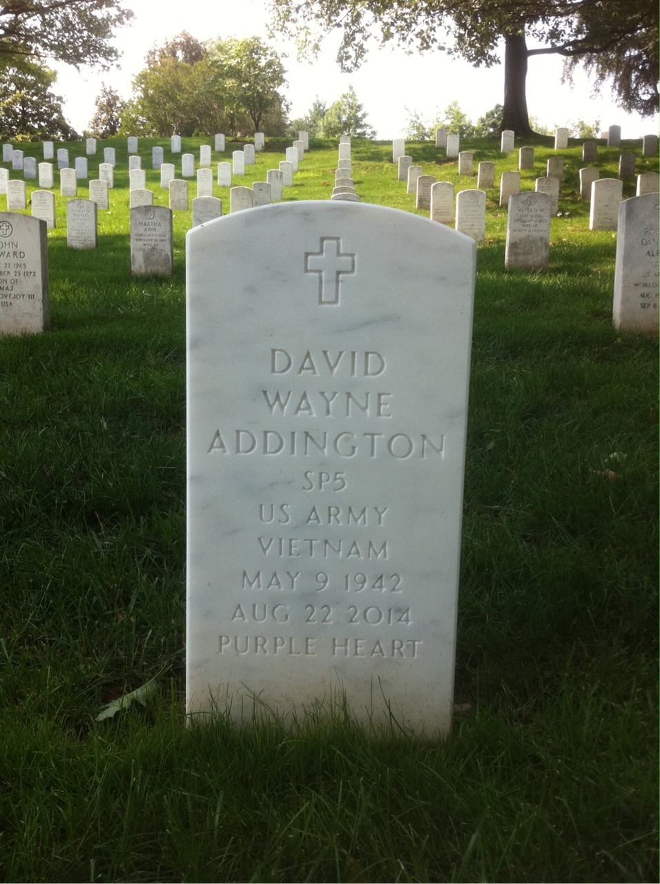 David Addington