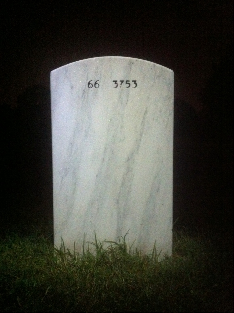 Back of headstone — Ronald Cool