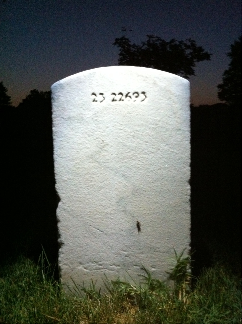 Back of headstone — George Allen