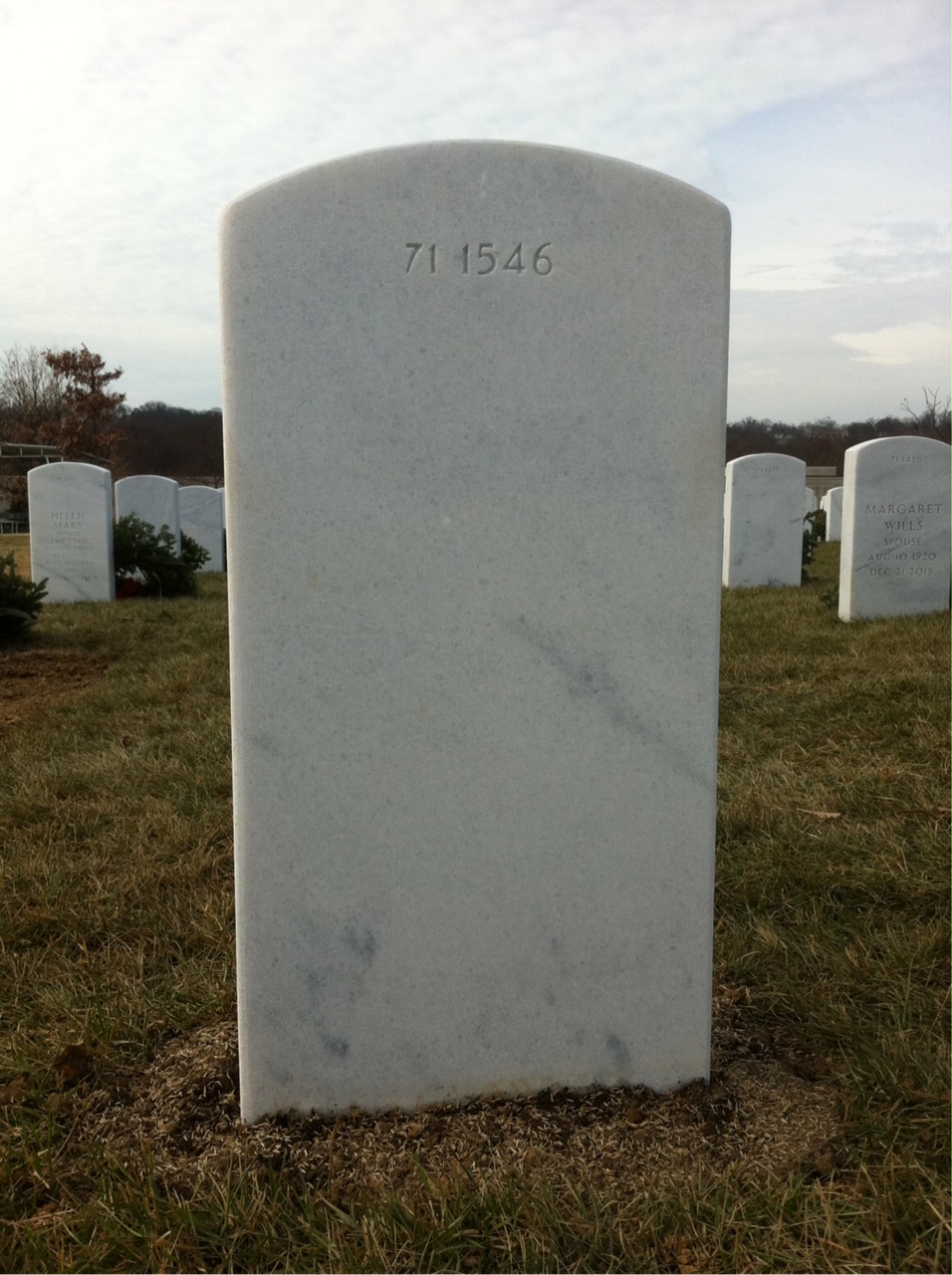 Back of headstone — Mario Tellez