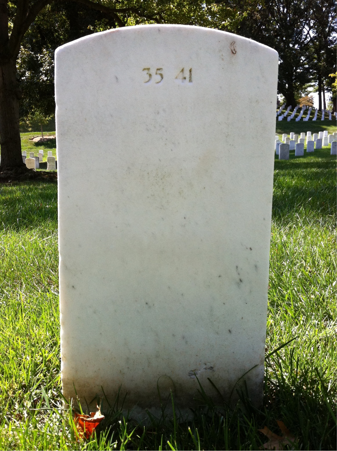 Back of headstone — John Musgrove