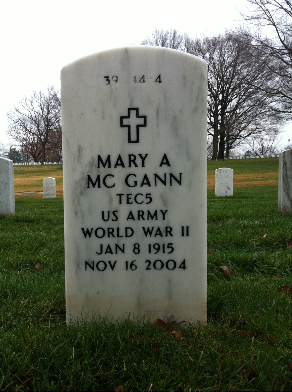 Back of headstone — Francis Mc Gann