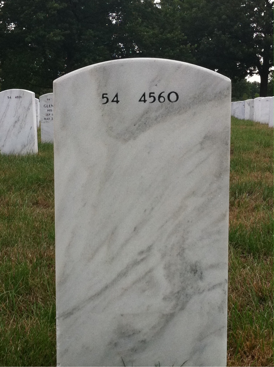 Back of headstone — Robert Dormitzer